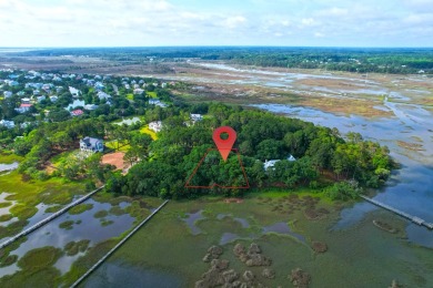 Beach Lot For Sale in Johns Island, South Carolina
