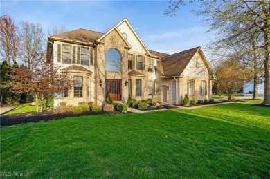 Beach Home For Sale in Avon Lake, Ohio