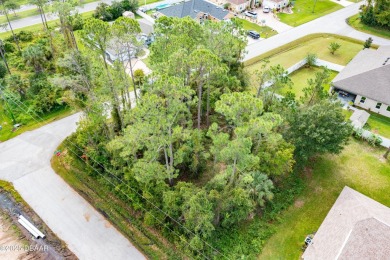 Beach Lot Sale Pending in Palm Coast, Florida