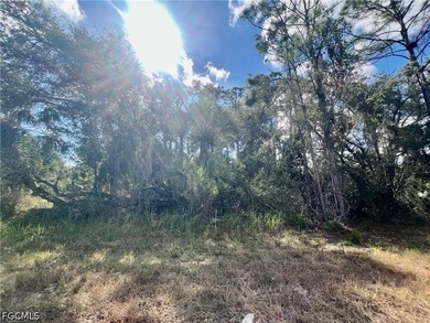 Beach Lot For Sale in North Port, Florida