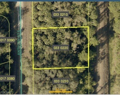 Beach Lot Sale Pending in Lehigh Acres, Florida