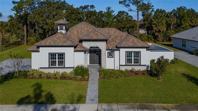 Beach Home For Sale in Palm Coast, Florida