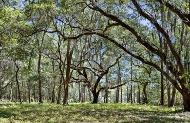 Beach Lot Active Under Contract in Edisto Island, South Carolina