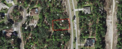 Beach Lot For Sale in Homosassa, Florida