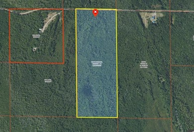 Beach Acreage For Sale in Cheboygan, Michigan