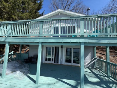 Beach Home For Sale in Free Soil, Michigan