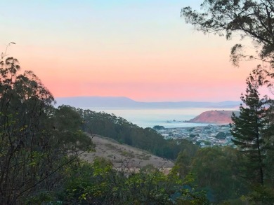 Beach Lot For Sale in Pacifica, California
