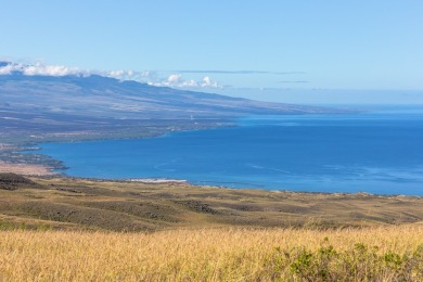 Beach Acreage For Sale in Kamuela, Hawaii