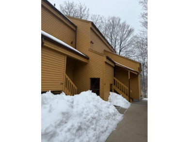 Beach Condo Sale Pending in Harbor Springs, Michigan