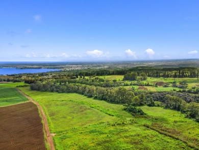 Beach Acreage For Sale in Hilo, Hawaii