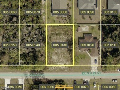 Beach Lot For Sale in Lehigh Acres, Florida