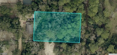 Beach Lot For Sale in Milton, Florida