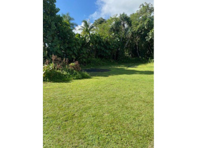 Beach Lot For Sale in Pahoa, Hawaii