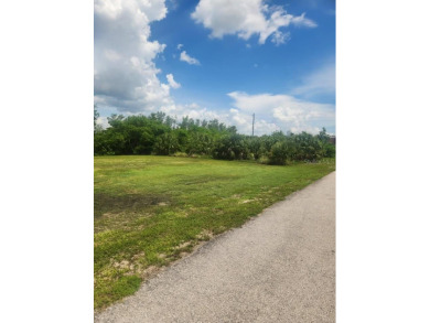 Beach Lot For Sale in Punta Gorda, Florida