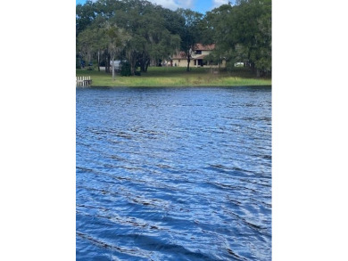 Beach Lot For Sale in Riverview, Florida