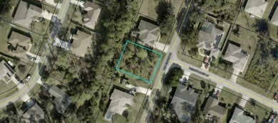 Beach Lot Sale Pending in Palm Coast, Florida