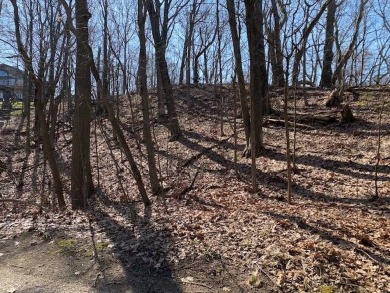 Beach Lot Sale Pending in Covert, Michigan