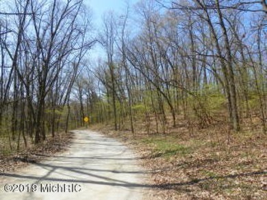 Great opportunity to purchase a beautiful 2.4 acre wooded lot - Beach Acreage for sale in Bridgman, Michigan on Beachhouse.com