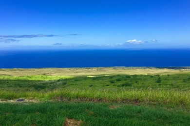 Beach Acreage For Sale in Kapaau, Hawaii