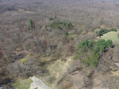 Beach Lot For Sale in Covert, Michigan