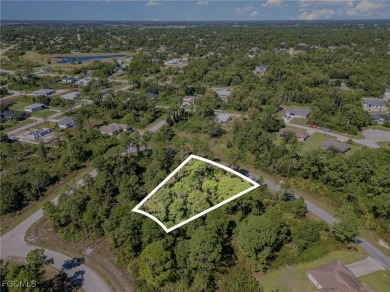 Beach Lot For Sale in Lehigh Acres, Florida