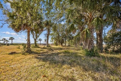 Beach Acreage For Sale in Jacksonville, Florida