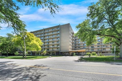 Beach Condo For Sale in Cleveland, Ohio
