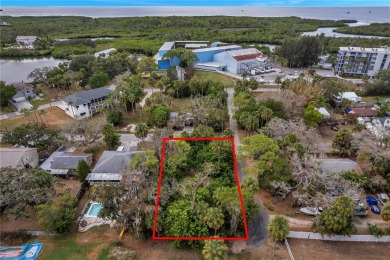 Beach Lot For Sale in Port Richey, Florida