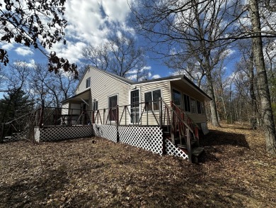 Beach Home For Sale in Free Soil, Michigan