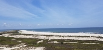 Vacation Rental Beach Condo in Dauphin Island, Alabama