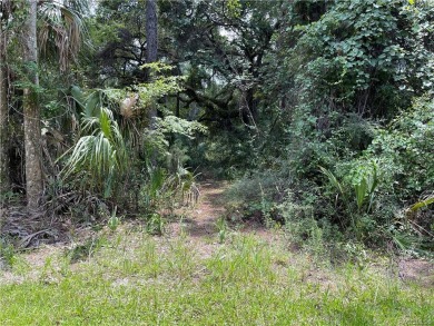 Beach Acreage Off Market in Inglis, Florida