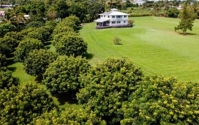 Beach Home For Sale in Pepeekeo, Hawaii