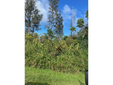 Beach Lot For Sale in Pahoa, Hawaii