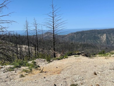 Beach Acreage For Sale in Davenport, California