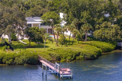 Beach Home For Sale in St. Petersburg, Florida