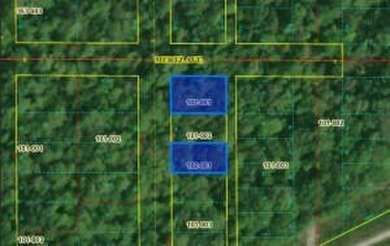 Beach Lot For Sale in Beverly Shores, Indiana