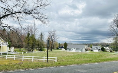 Beach Lot For Sale in Pentwater, Michigan