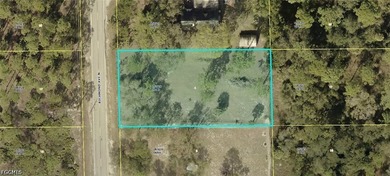 Beach Lot For Sale in Lehigh Acres, Florida