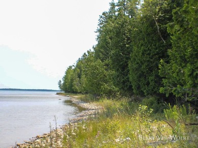 Beach Lot For Sale in Saint Ignace, Michigan