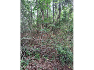 Beach Lot For Sale in Hubert, North Carolina
