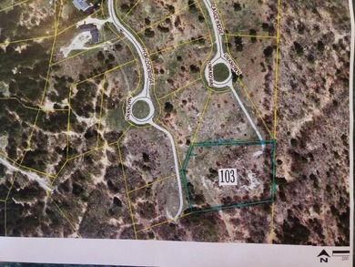 Beach Acreage For Sale in Onekama, Michigan
