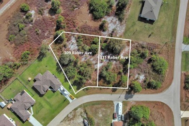 Beach Lot For Sale in Lehigh Acres, Florida