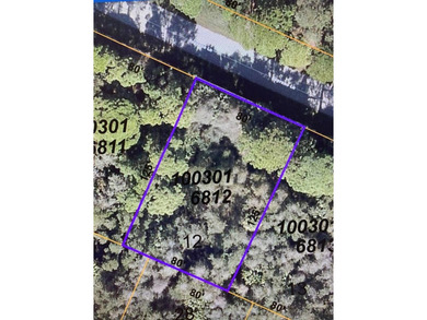 Beach Lot For Sale in North Port, Florida