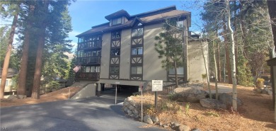 Beach Condo For Sale in Incline Village, Nevada