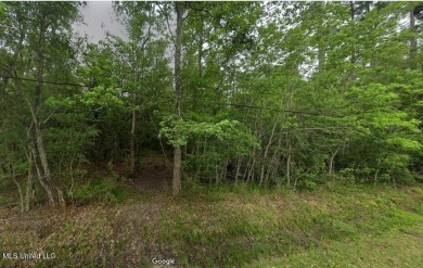Beach Lot For Sale in Bay Saint Louis, Mississippi