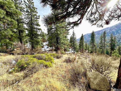 Beach Lot For Sale in Carson City, Nevada