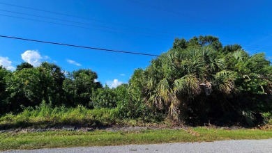Beach Lot For Sale in Nokomis, Florida
