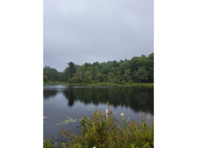 Beach Lot For Sale in Ellsworth, Maine