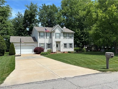 Beach Home For Sale in Painesville, Ohio