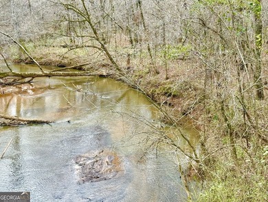 Beach Acreage For Sale in Waverly Hall, Georgia